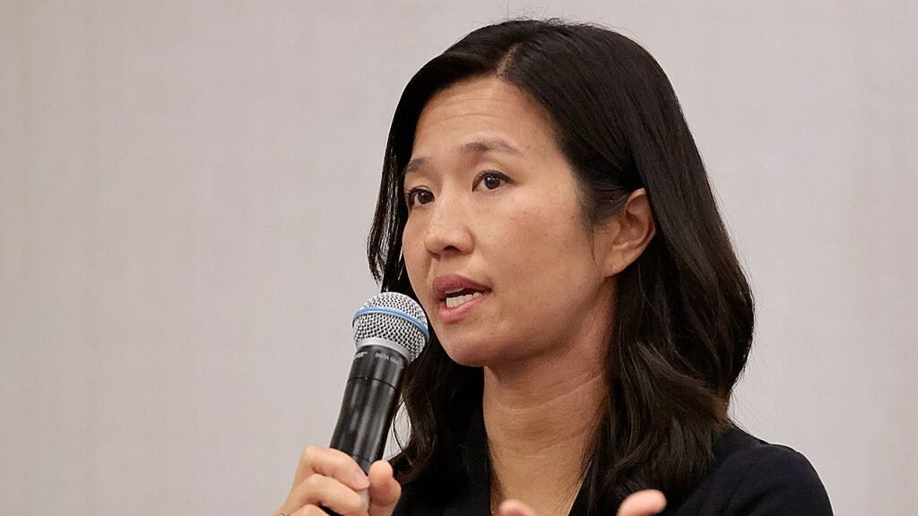 Blue city funds immigrant activist program with taxpayer dollars, critics say it ‘shuts citizens out’