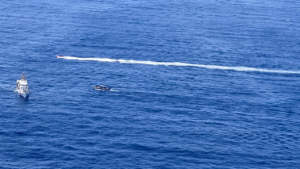 At least 40 rescued, 2 dead as boat capsizes after machete fight near Puerto Rico At least 40 rescued, 2 dead as boat capsizes after machete fight near Puerto Rico
