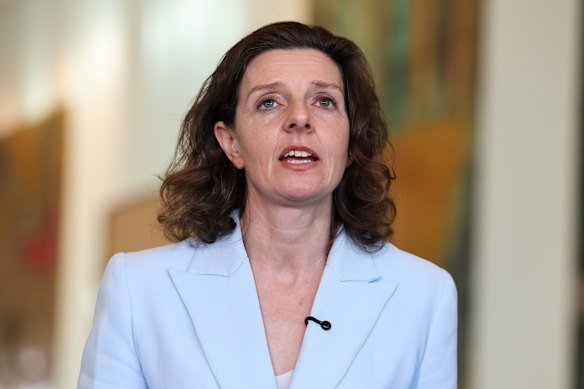 Wentworth MP Allegra Spender criticised Labor’s “ad hoc” migration measures.