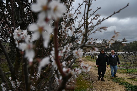 Mahmoud Khodr says he bought the farm when it was in a state of disrepair and has brought it back to life,