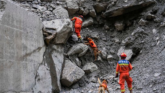 Chinese rescuers use sniffer dogs to search for victims at a mudslide-hit area in Gyirong County, in south-western China’s Tibet Autonomous Region.