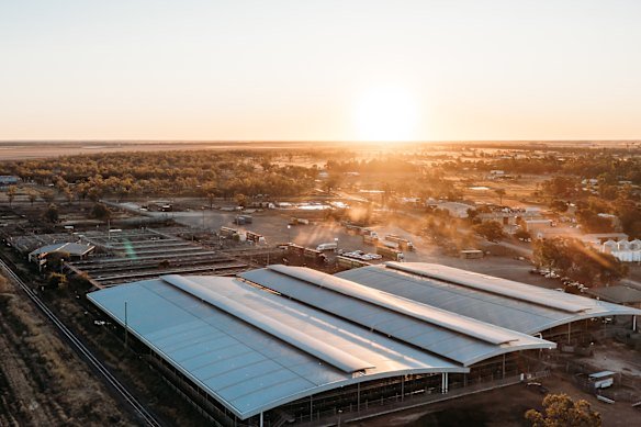 Prime and store auctions are held weekly in Dalby.
