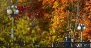 The ‘Super El Nino’ is upon us. What does that mean for Ontario’s fall colours?