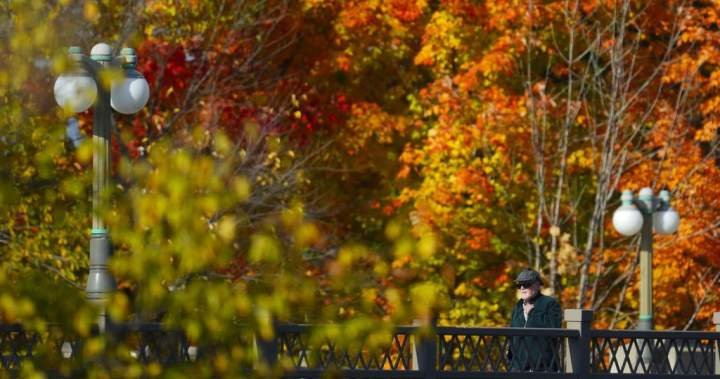 The ‘Super El Nino’ is upon us. What does that mean for Ontario’s fall colours? The ‘Super El Nino’ is upon us. What does that mean for Ontario’s fall colours?