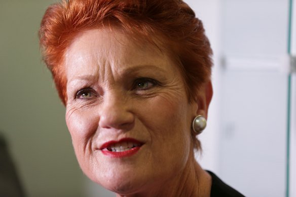 One Nation Leader Pauline Hanson has taken a controversial stand on superannuation.