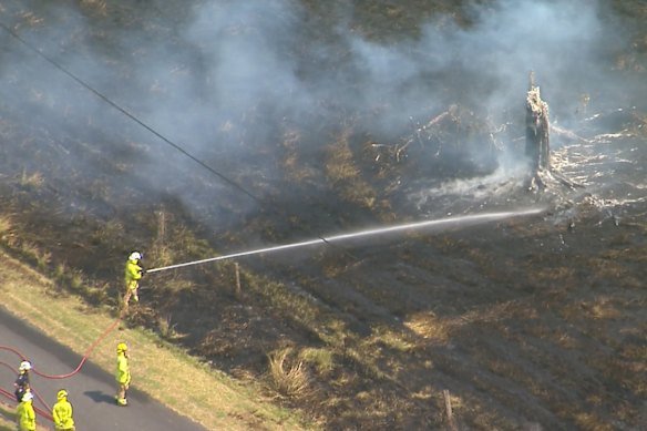 Firefighters extinguish the grass fire after the plane went down.