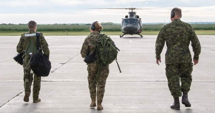 Canada’s army overhaul aims to be ‘more agile, lethal’ amid threats Canada’s army overhaul aims to be ‘more agile, lethal’ amid threats