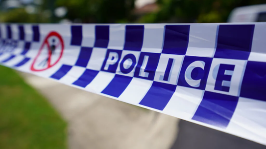 Four people have been hospitalised after being attacked by their own dog.