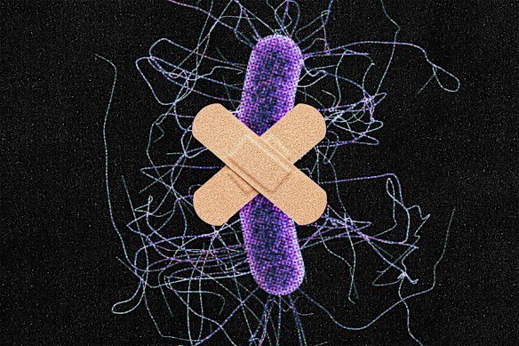 Clostridioides difficile commonly causes severe gut infections in hospitals. Scientists have uncovered a new way it’s evolving to outfox drugs.