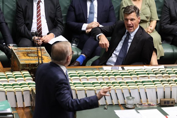 Opposition Leader Angus Taylor reacts as Prime Minister Anthony Albanese speaks during question time.