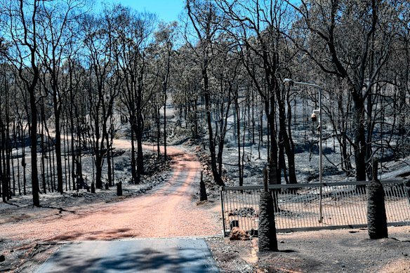 A burned fire ground near Wooroloo. 