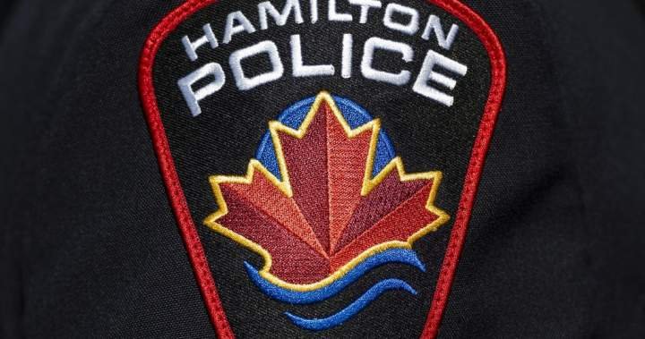 Hamilton man charged with advocating genocide over online content: police Hamilton man charged with advocating genocide over online content: police
