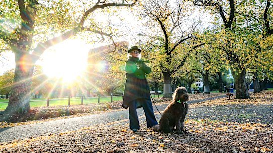 Elisabeth Vodicka and her labradoodle Rock Hudson at Yarra Park. Vodicka is concerned about the master plan for the park which surrounds the MCG.