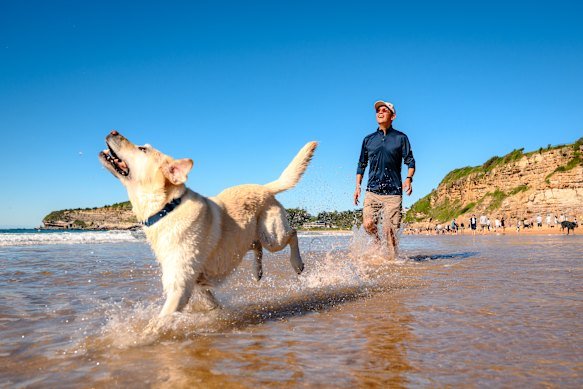 Warren Bingham with his Labrador retriever, Billie, at Mona Vale Beach.