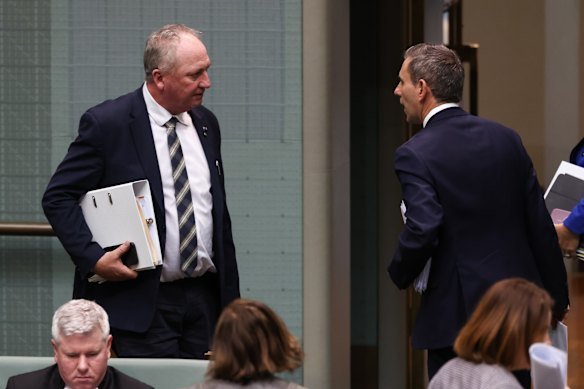Labor Treasurer Jim Chalmers and One Nation treasury spokesman Barnaby Joyce on Wednesday.