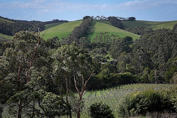 A view of the proposed quarry site with a vineyard below. 