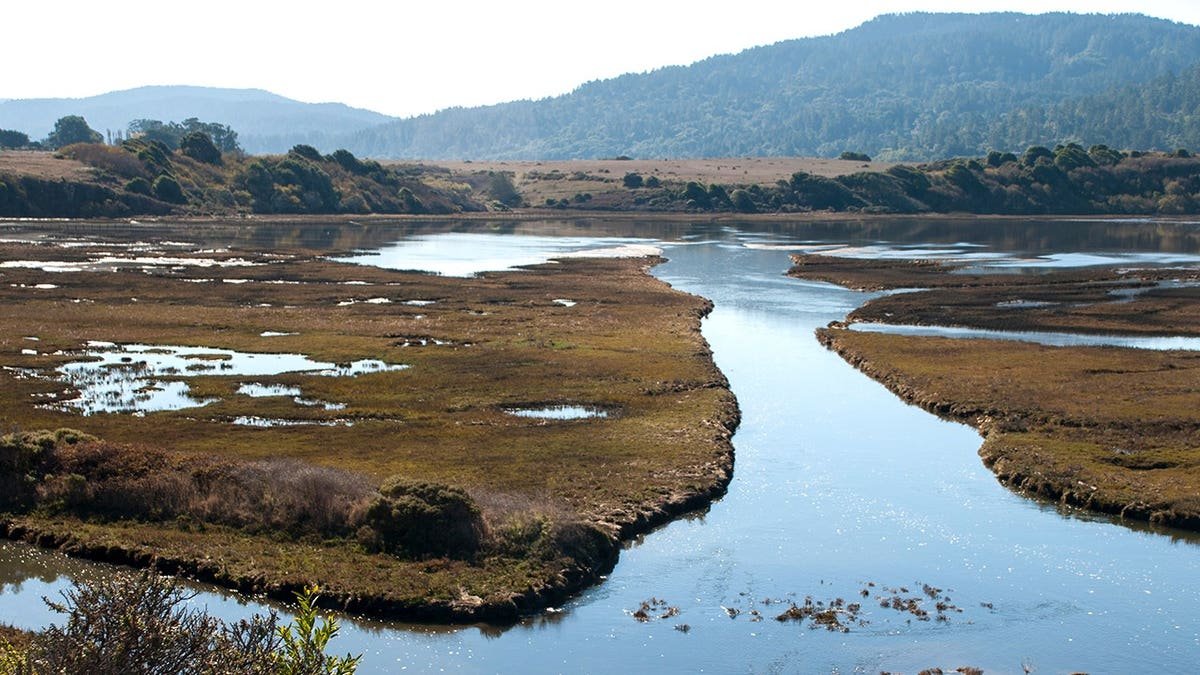 Aerial view of waterways in Tomales Bay