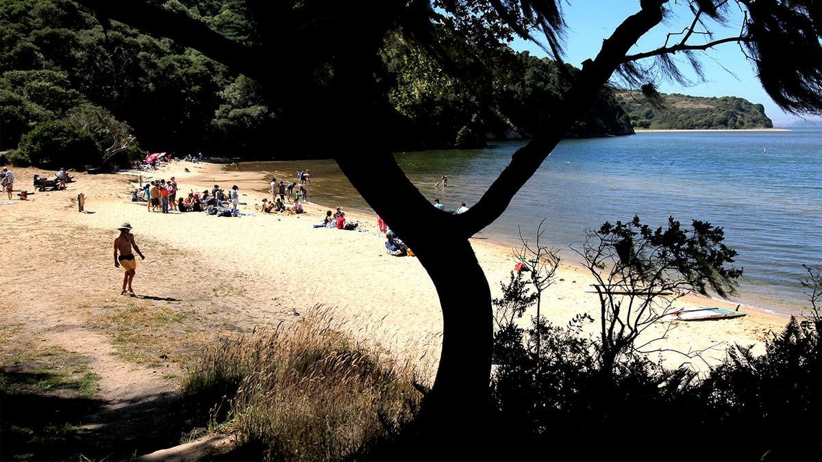Visitors enjoying beach along Tomales Bay in California