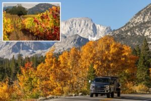 New fall foliage forecast shows when to catch peak colors in California New fall foliage forecast shows when to catch peak colors in California