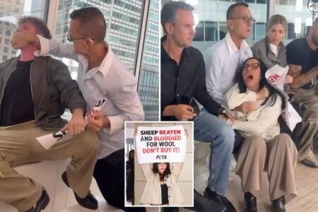 NYFW honcho tackles PETA protesters in wild caught-on-video scene in front of A-listers NYFW honcho tackles PETA protesters in wild caught-on-video scene in front of A-listers