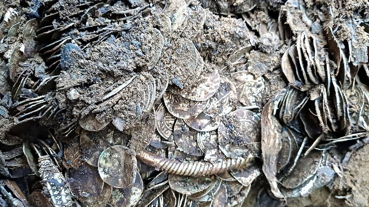View of silver coins in mud