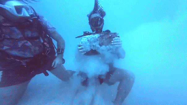 GIF of diver holding copper ingot