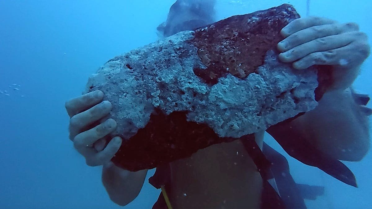 View of diver holding ingot, covered in marine growth