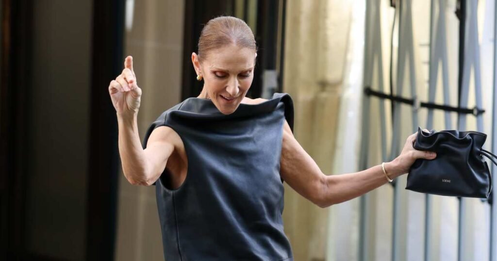 Celine Dion’s ,600 ‘Little Black Bag’ Is a Fall Outfit Maker — We Found a Twin for 