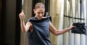 Celine Dion’s ,600 ‘Little Black Bag’ Is a Fall Outfit Maker — We Found a Twin for Celine Dion’s ,600 ‘Little Black Bag’ Is a Fall Outfit Maker — We Found a Twin for
