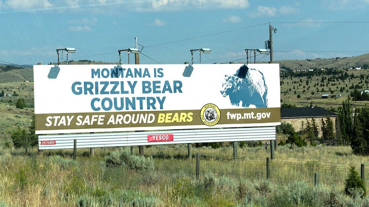 Montana sign about bears