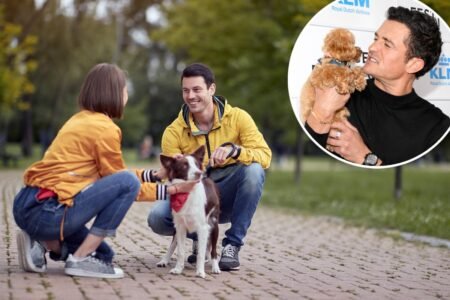 Man’s best wingman? Surprising dog type deemed the most masculine by pet expert