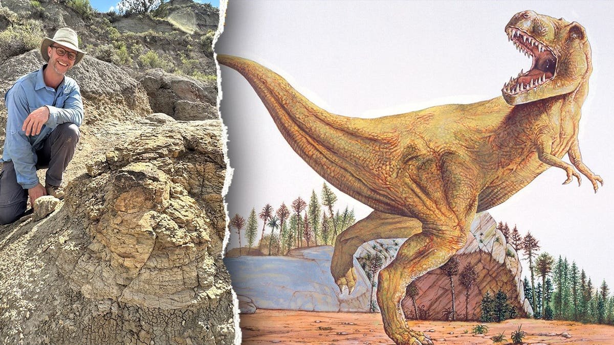 Split image of Tyler Lyson with print, drawing of T Rex
