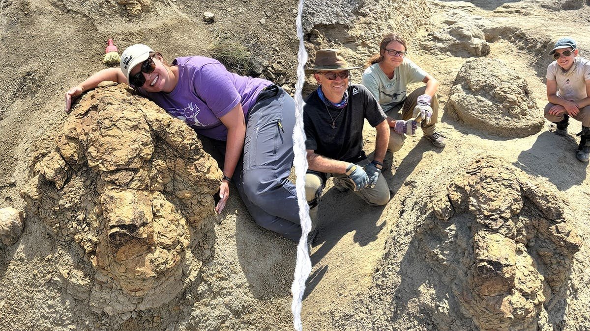 Split image of researchers posing next to T Rex footprints