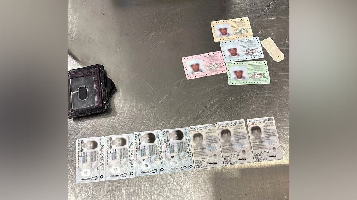 View of stash of fake IDs