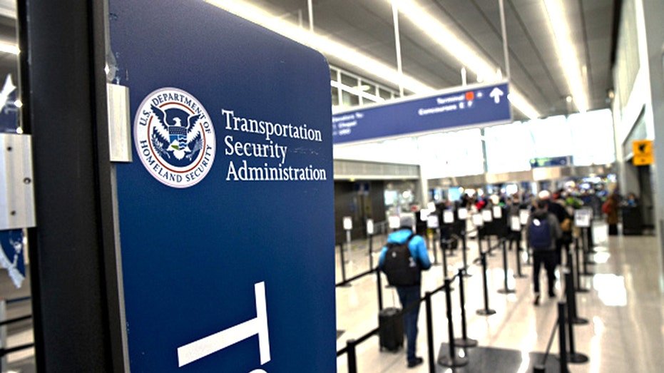 TSA line