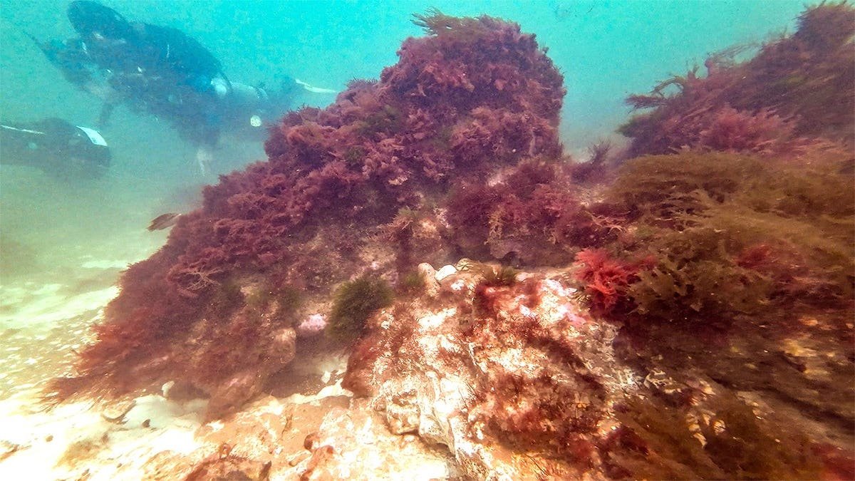 Diver near underwater remains of medieval village
