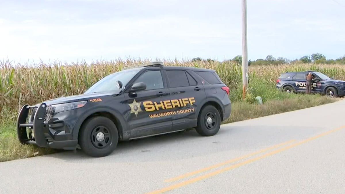 Police cars near seen of crash