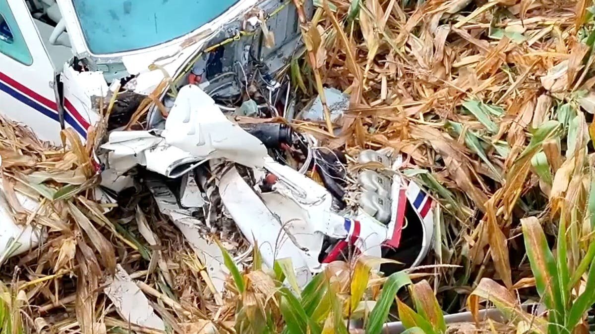 Mangled plane, close-up of damage in cornfield