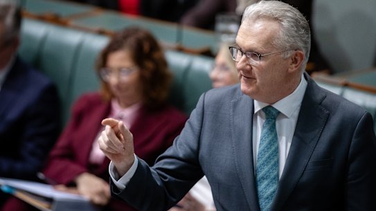 Home Affairs Minister Tony Burke.
