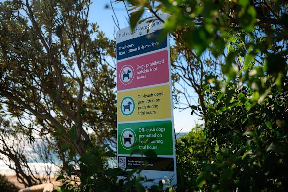 A sign outlining the off-leash trial hours at Mona Vale Beach.
