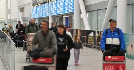Montreal woman searches for cat last seen at Toronto Pearson airport Montreal woman searches for cat last seen at Toronto Pearson airport