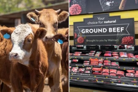 US beef supply plummets as cattle farmer warns ‘the numbers are just not here anymore’
