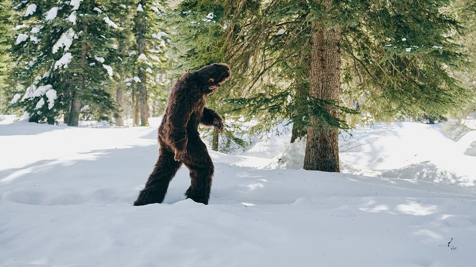 Bigfoot Sasquatch in a mountain forest during winter