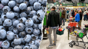 Florida woman died after eating E coli-tainted frozen blueberries from Publix, lawsuit alleges