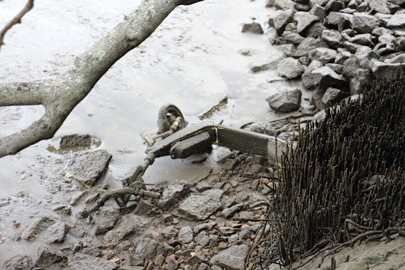 Professor Stuart Khan said the lithium, copper, nickel, cobalt and manganese in modern e-scooter batteries presented potential ecological risks.
