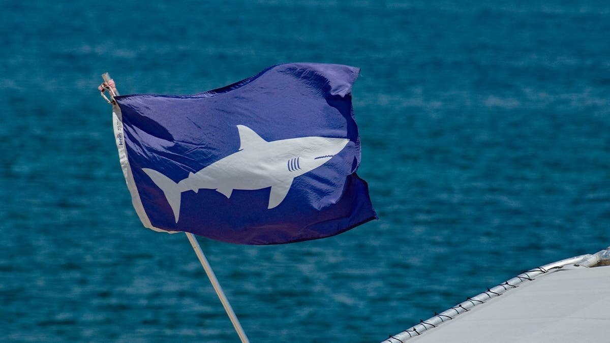 A purple flag at a lifeguard station warns people that sharks are common to the area.