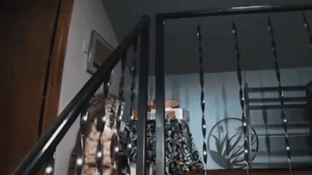 Washington homeowner hears mysterious banging, calls 911 before police find growling bobcat at top of stairs Washington homeowner hears mysterious banging, calls 911 before police find growling bobcat at top of stairs