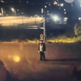 Person wearing Cat in the Hat costume chased teen: West Kelowna RCMP