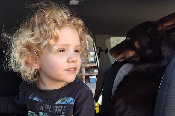 The South Australia government has offered a $1 million reward to find Gus Lamont, who disappeared from his family’s sheep station in September last year.