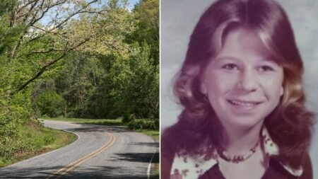 Cold case takes grim turn after remains identified as runaway teen; homicide investigation underway Cold case takes grim turn after remains identified as runaway teen; homicide investigation underway